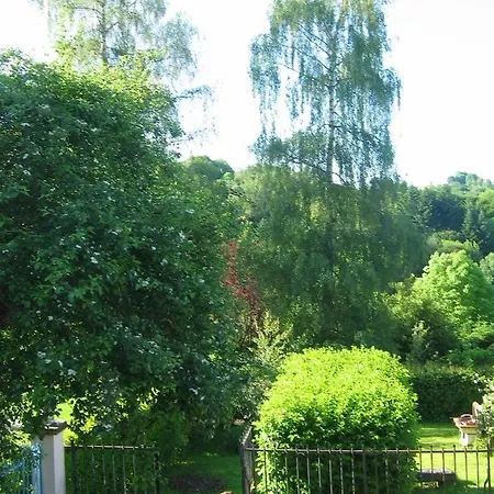 Les D'aveze Volcan, Sancy, Bourboule 阿维泽