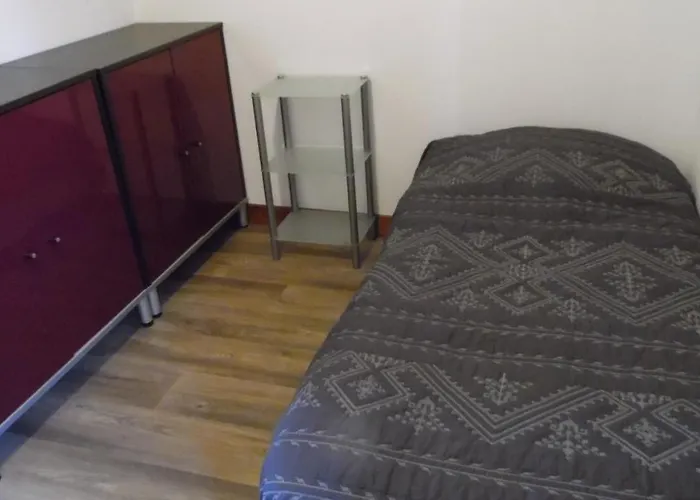 Apartment Gites Et Chambre D'Hotes D'Aveze Volcan, Sancy, Bourboule, Gentiane *