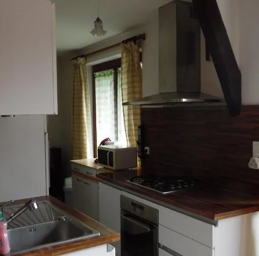 Gites Et Chambre D'Hotes D'Aveze Volcan, Sancy, Bourboule, Gentiane Aveze (Puy-de-Dome)