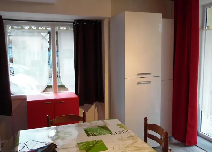 Apartment Gites Et Chambre D'Hotes D'Aveze Volcan, Sancy, Bourboule, Gentiane